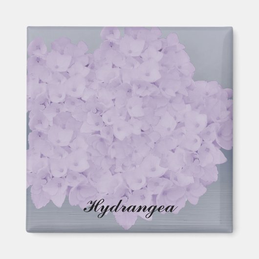 Mooie Lavendel Hydrangea Magneet (Voorkant)
