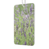 Mooie lavendel luchtverfrisser (Links)