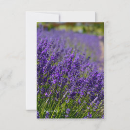 Mooie Lavendel Rij Notitiekaartje