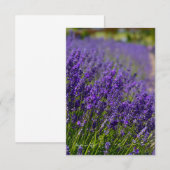 Mooie Lavendel Rij Notitiekaartje (Voorkant / Achterkant)