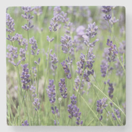 Mooie lavendel stenen onderzetter