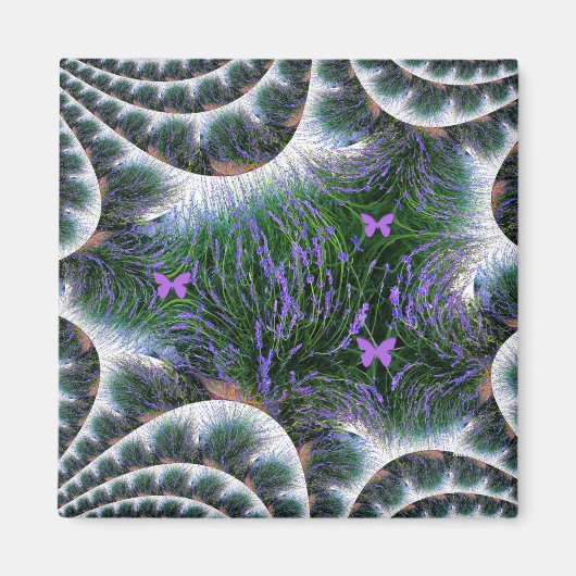 Mooie Lavendel Tuin....... Magneet (Voorkant)