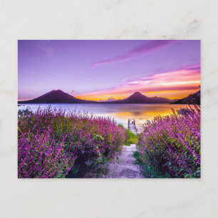 Mooie Lavendelveld Uitzicht Bergen Briefkaart