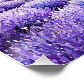 Mooie lavendelvelden Glossy Poster (Hoek)