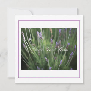 Mooie lavender Flowers Jouw tekst Flat Kaart
