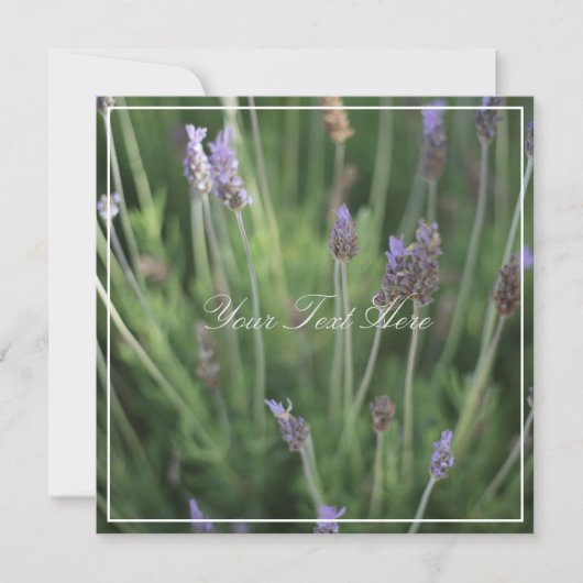 Mooie lavender Flowers Jouw tekst Flat Kaart (Voorkant)