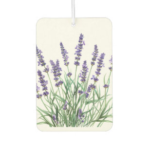 Mooie lavender Garden Flower Floral Luchtverfrisser