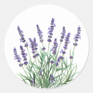 Mooie lavender Garden Flower Floral Ronde Sticker