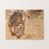 Mooie leeuw en mantel legpuzzel (Horizontaal)