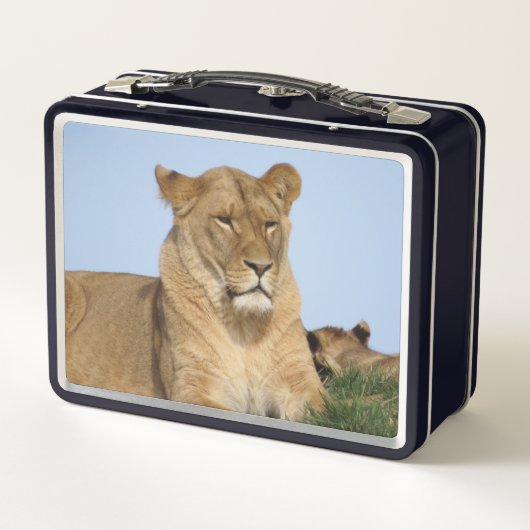 Mooie leeuw in de natuur (Achterkant)