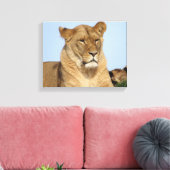 Mooie leeuw in de natuur canvas afdruk (Insitu (Woonkamer))