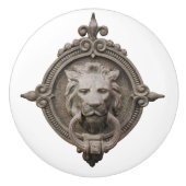 Mooie leeuwenkop keramische knop (Voorkant)