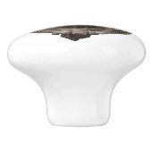 Mooie leeuwenkop keramische knop (Zijkant)