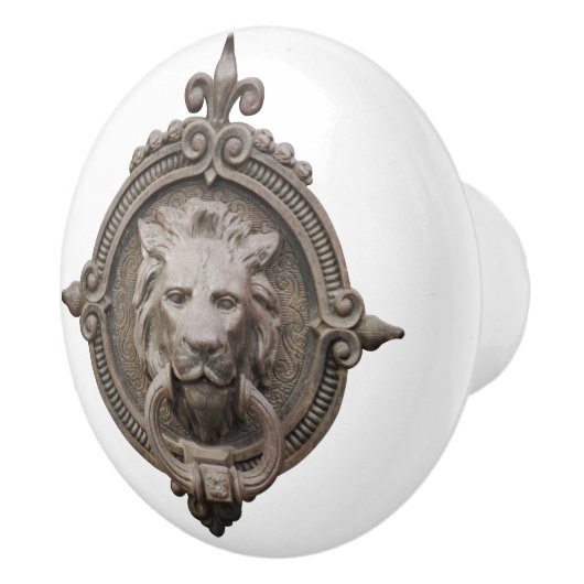 Mooie leeuwenkop keramische knop (Rechts)
