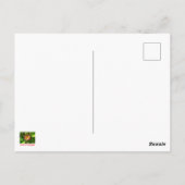 Mooie lelie briefkaart (Achterkant)