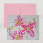 Mooie lelie in roze aquarel schilderij ansichtkaar briefkaart (Voorkant / Achterkant)