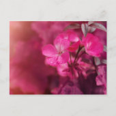 Mooie lentbloemen briefkaart (Voorkant)