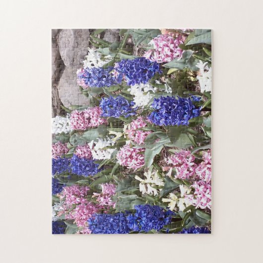 Mooie lente Hyacinten legpuzzel (Verticaal)