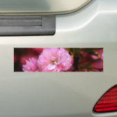 Mooie lente roze kersenbloesem bumpersticker (Op auto)