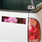 Mooie lente roze kersenbloesem bumpersticker (Op Truck)