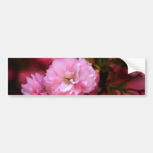 Mooie lente roze kersenbloesem bumpersticker