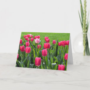 mooie lente roze tulp bloemen gelukkige verjaardag kaart