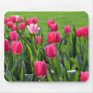 Mooie lente roze tulp bloemen,groene bladeren muismat