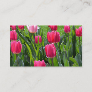 mooie lente roze tulp bloemen. tuin bloemen visitekaartje