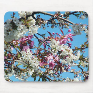 Mooie lente roze, witte kersenbloesem muismat