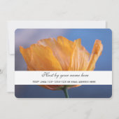 mooie lente wilde gele klaproos bloem feest kaart (Achterkant)