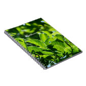 Mooie lente, zomergroene bladeren. Naam toevoegen Notitieboek (Rechterzijde)