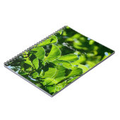 Mooie lente, zomergroene bladeren. Naam toevoegen Notitieboek (Linkerzijde)