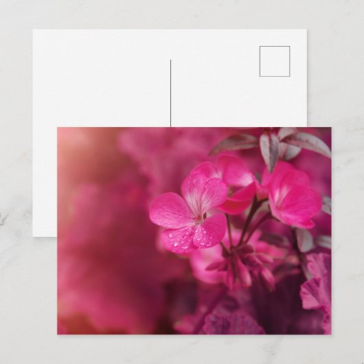 Mooie lentebloemen briefkaart (Voorkant / Achterkant)
