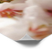 Mooie lentebloemen poster (Hoek)