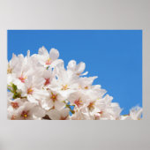 Mooie lentebloemen poster (Voorkant)