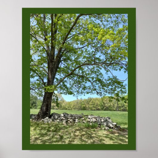 Mooie lentedag afdrukken poster (Voorkant)