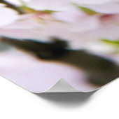 Mooie lentesaluut poster (Hoek)