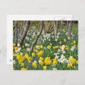 Mooie lentesdioltuin briefkaart (Voorkant / Achterkant)