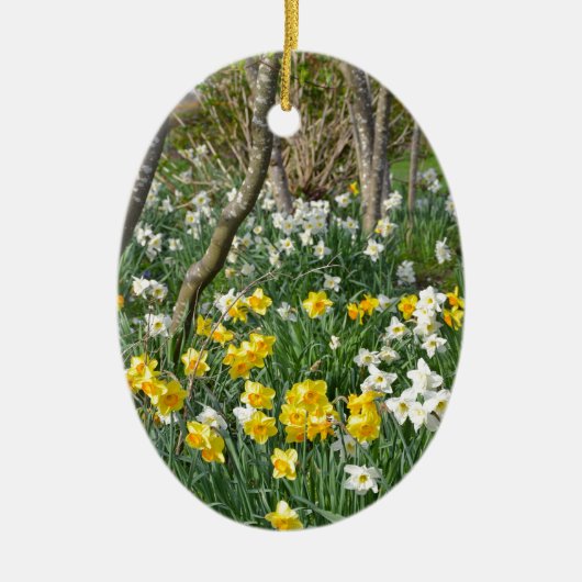 Mooie lentesdioltuin keramisch ornament (Voorkant)