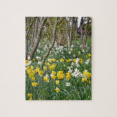 Mooie lentesdioltuin legpuzzel (Verticaal)