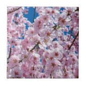 Mooie lenteskers bloesems tegeltje (Voorkant)