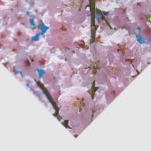 Mooie lenteskers bloesems tissuepapier (Detail)