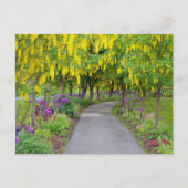 Mooie lentestuin briefkaart (Voorkant)