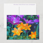 Mooie lentetelers Oranje Paars Briefkaart  (Voorkant / Achterkant)