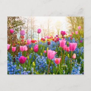 Mooie lentevloeren - Tulpen en hyacinth Briefkaart