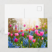 Mooie lentevloeren - Tulpen en hyacinth Briefkaart (Voorkant / Achterkant)