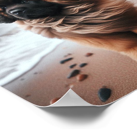 Mooie Leonberger puppy Poster (Hoek)