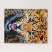 Mooie Leopard Close, Jigzaag Puzzle Legpuzzel (Horizontaal)