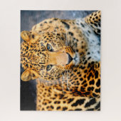 Mooie Leopard Face, Jigzaag Puzzle Legpuzzel (Verticaal)