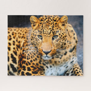 Mooie Leopard Face, Jigzaag Puzzle Legpuzzel